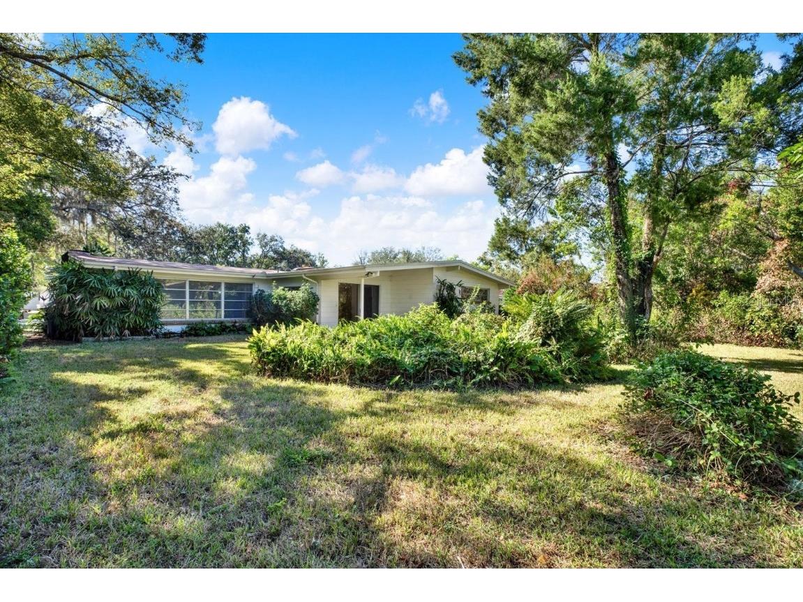 121 Siobhan Avenue Tampa FL 33613 TB8457268 image3