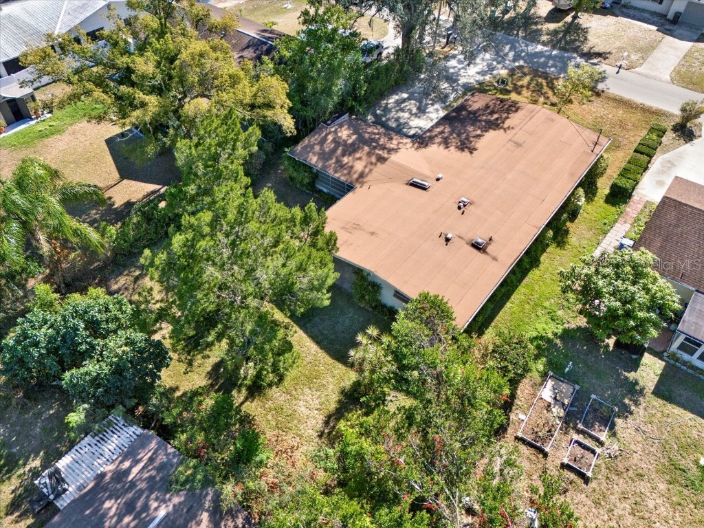 121 Siobhan Avenue Tampa FL 33613 TB8457268 image31