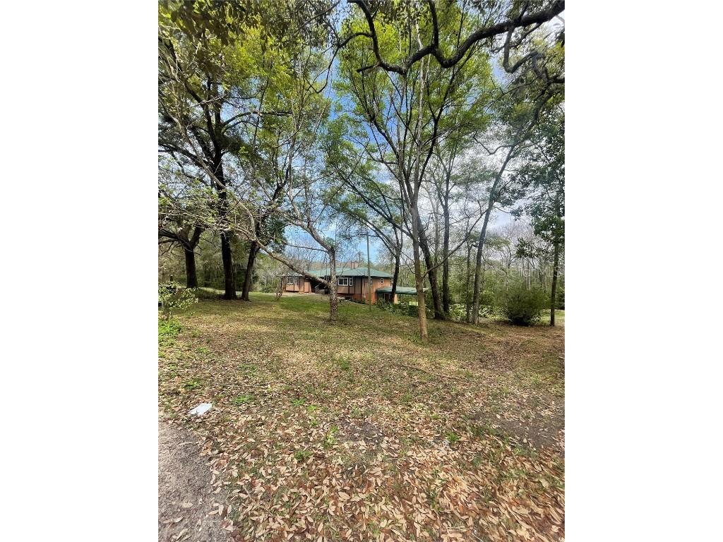 121 Sweet Gum Drive Melrose FL 32666 TB8428168 image6