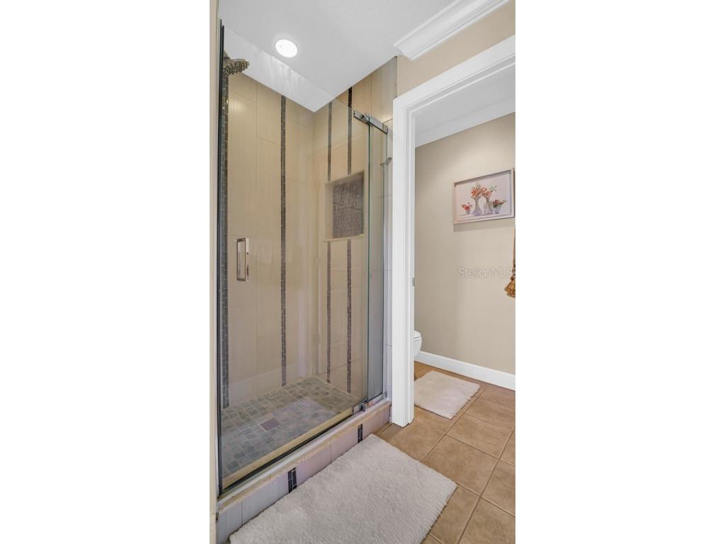 121 Valencia Circle Saint Petersburg FL 33716 TB8413761 image31