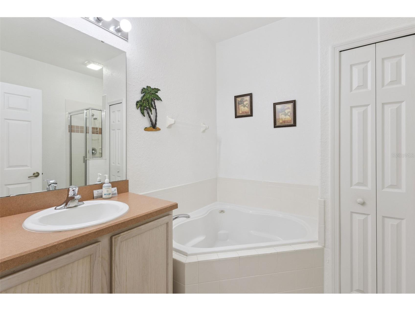 121 Vine Drive Davenport FL 33837 S5153667 image14