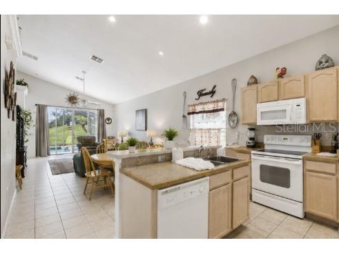 121 Vine Drive Davenport FL 33837 S5153667 image7
