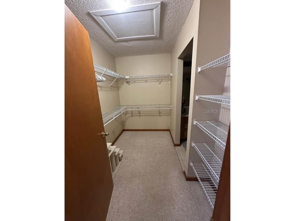 1210 Big Pine Drive Valrico FL 33596 TB8446267 image12