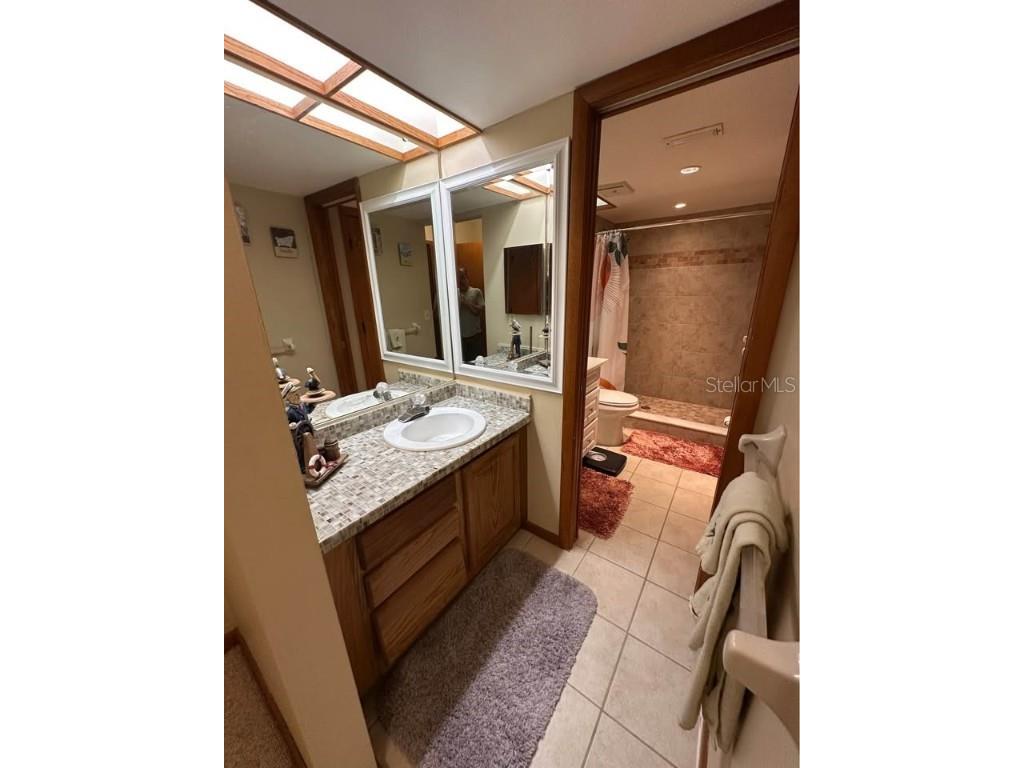 1210 Big Pine Drive Valrico FL 33596 TB8446267 image13