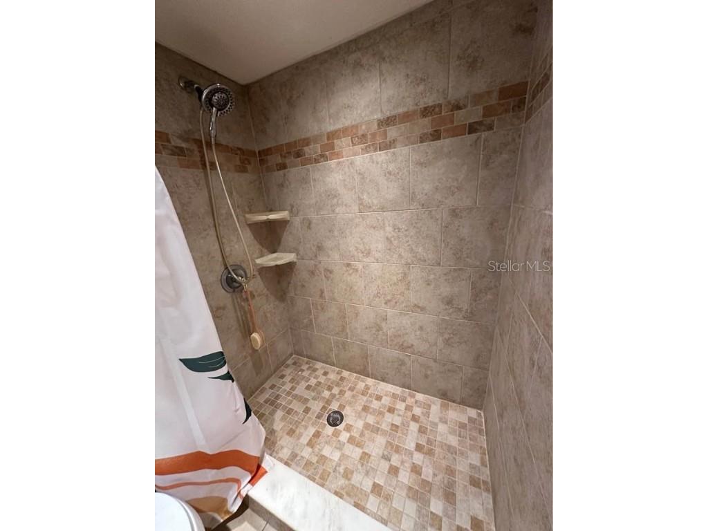 1210 Big Pine Drive Valrico FL 33596 TB8446267 image7