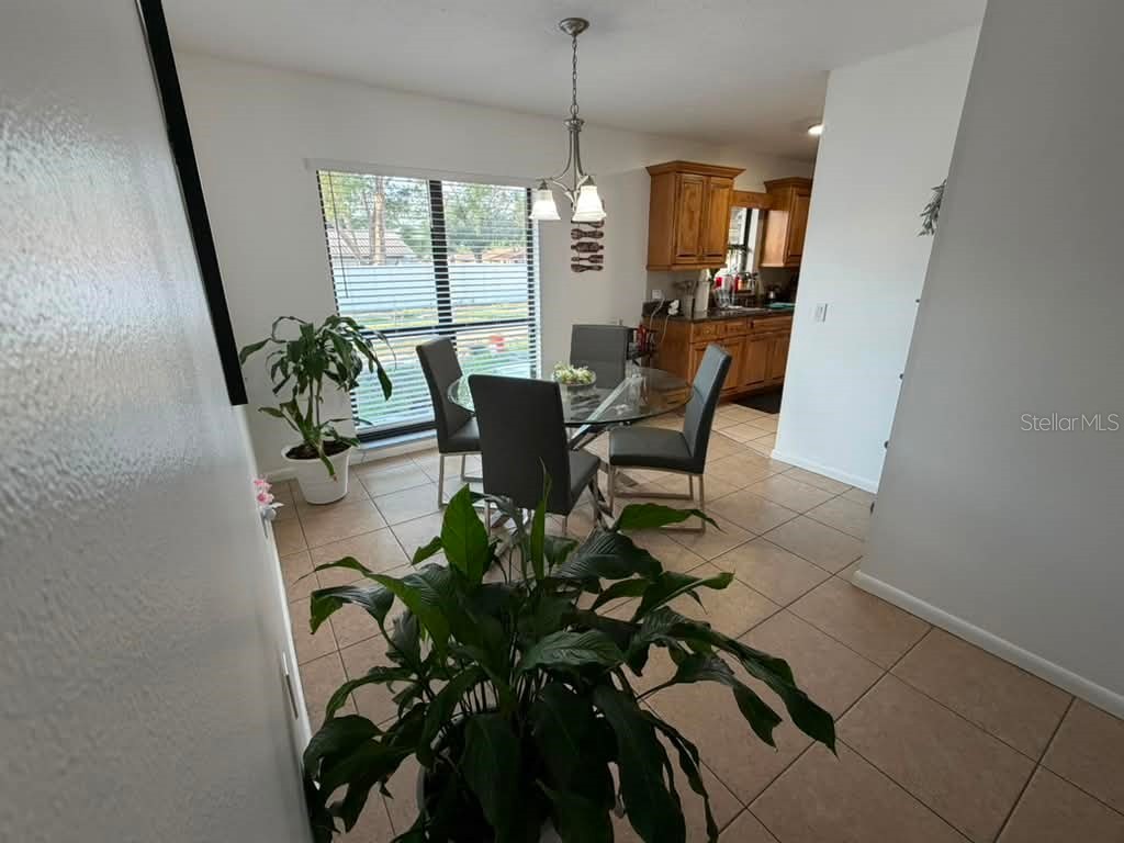 1210 Branda Vista Drive Brandon FL 33510 O6412327 image20