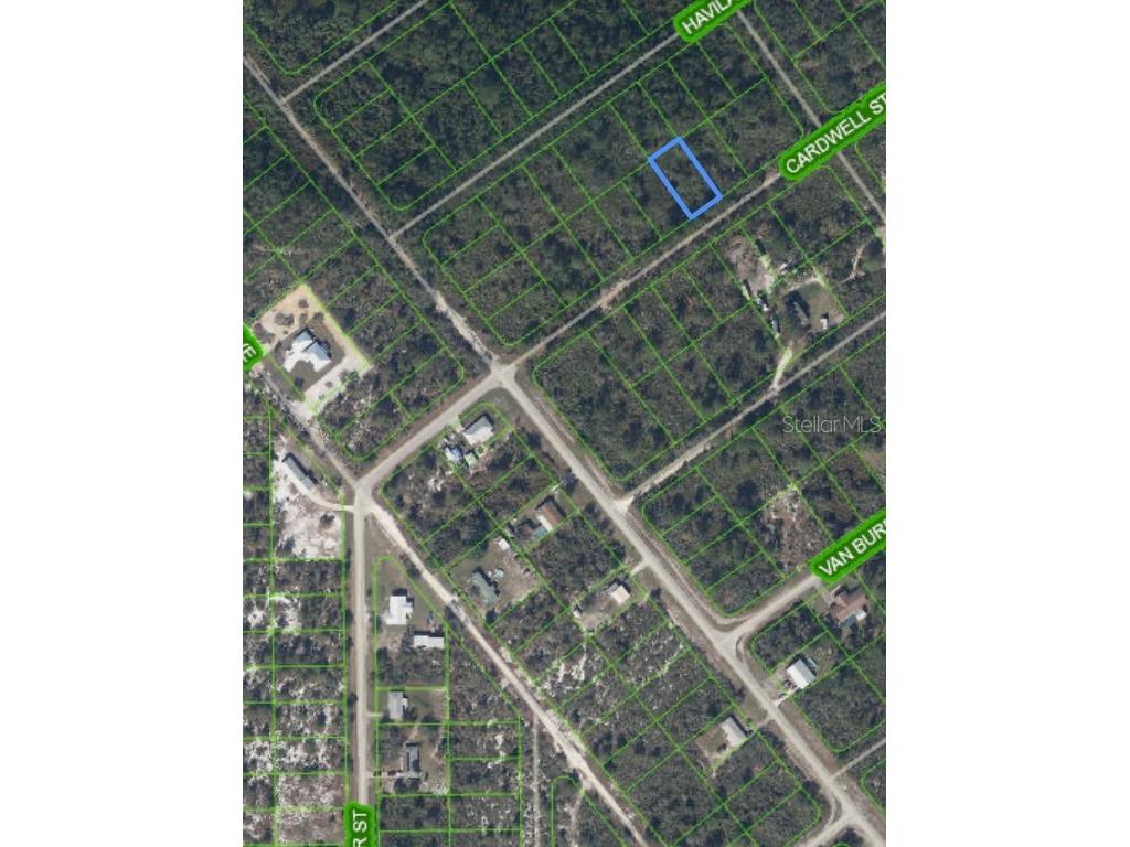 1210 Cardwell Street Lake Placid FL 33852 O6200066 image1