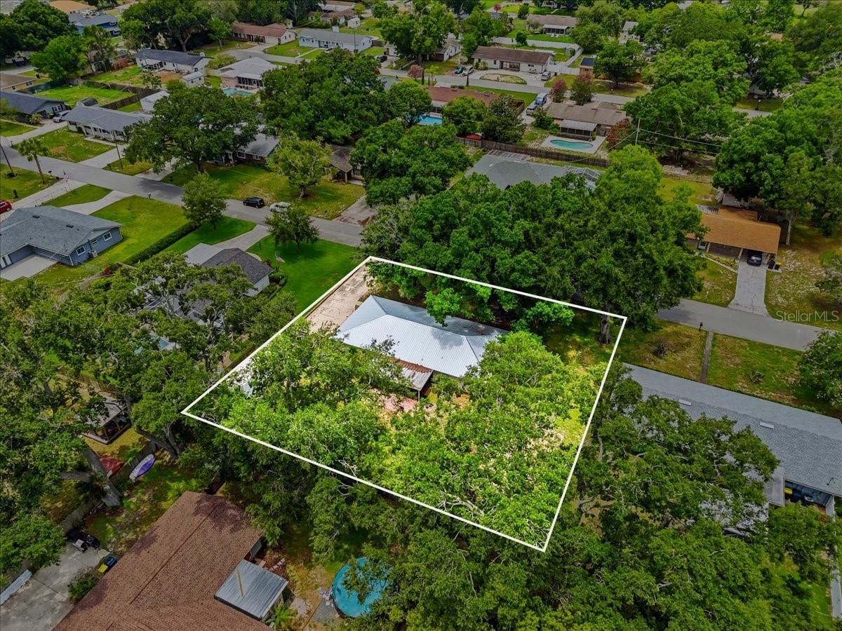 1210 Carol Avenue Auburndale FL 33823 L4962846 image56