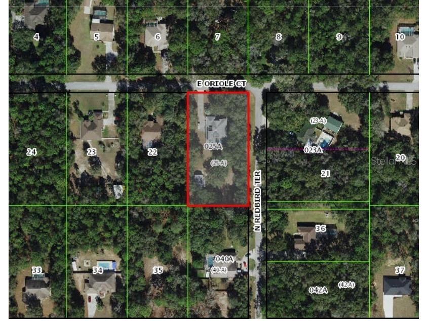 1210 E Oriole Court Hernando FL 34442 TB8489253 image23