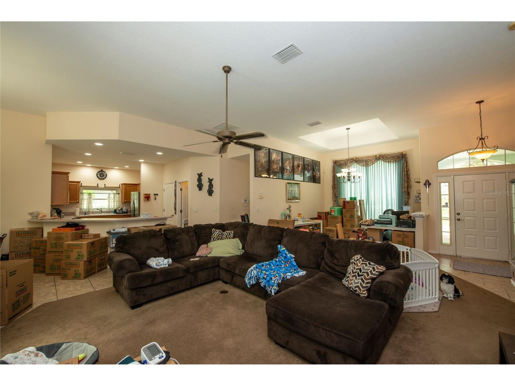 1210 E Oriole Court Hernando FL 34442 TB8489253 image8