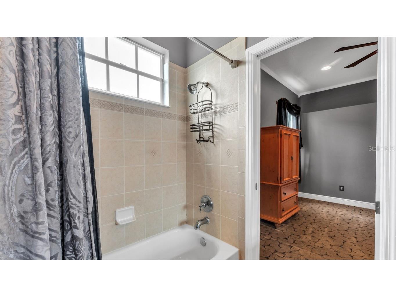 1210 Facet View Way Valrico FL 33594 L4957805 image47