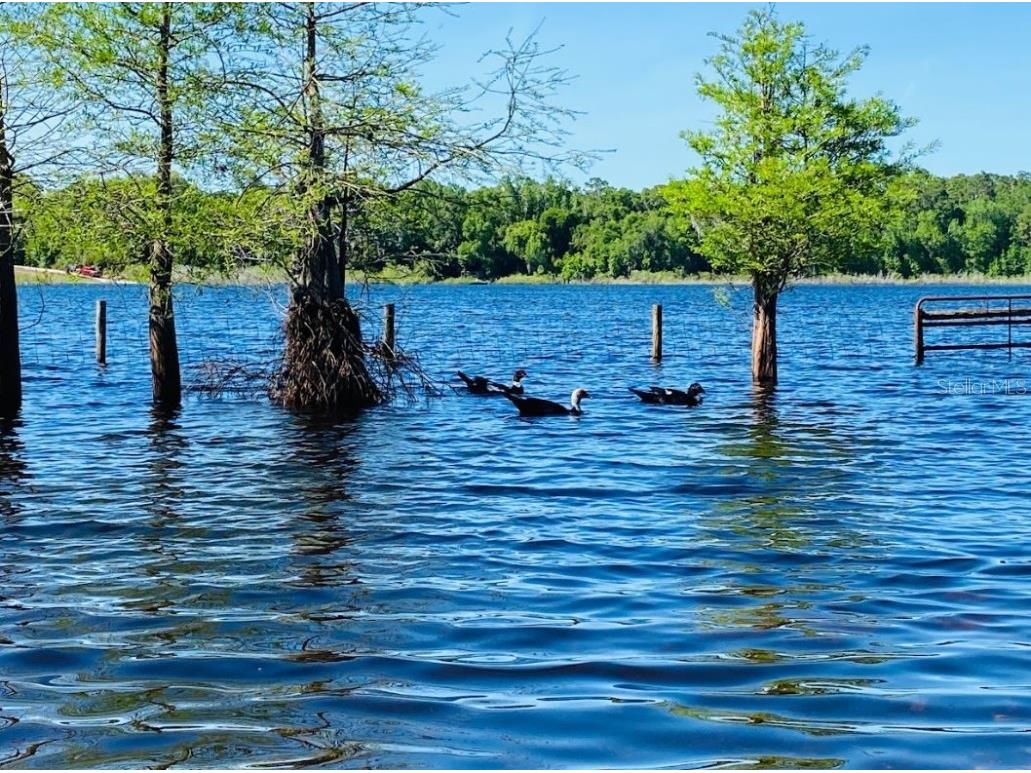 1210 Gem Lane Lake Helen FL 32744 V4945494 image53