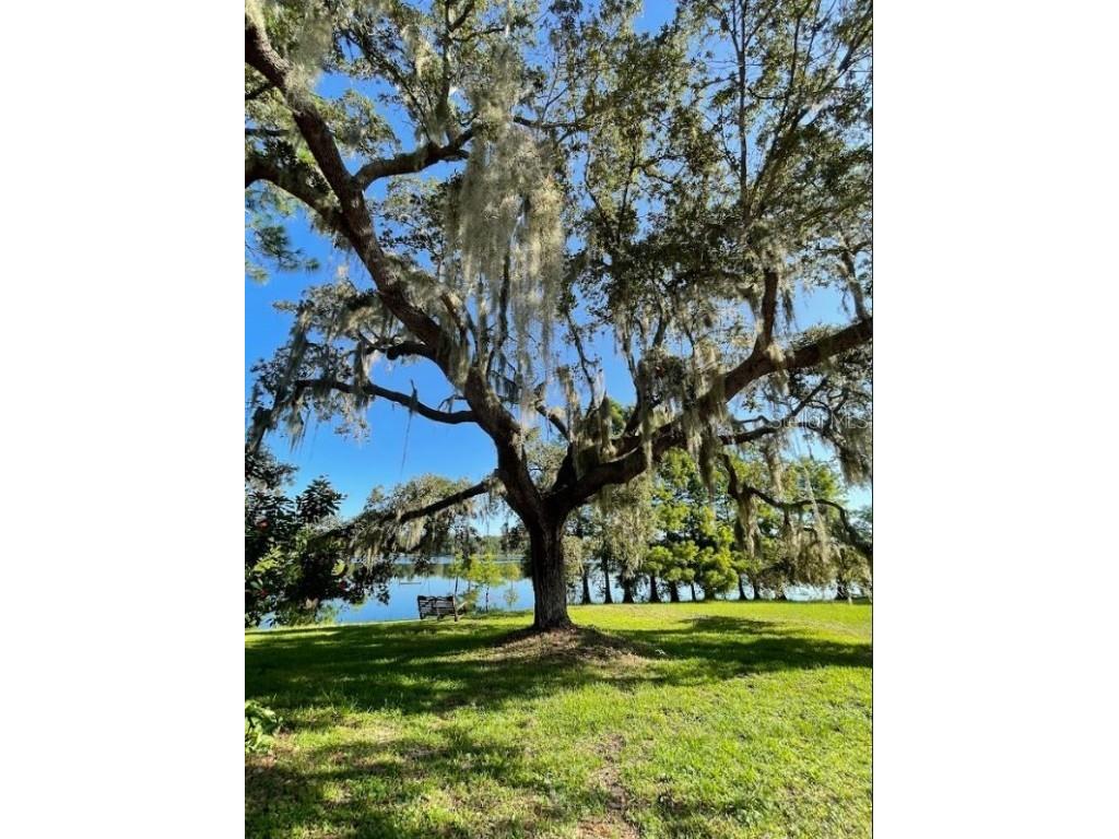 1210 Gem Lane Lake Helen FL 32744 V4945494 image71