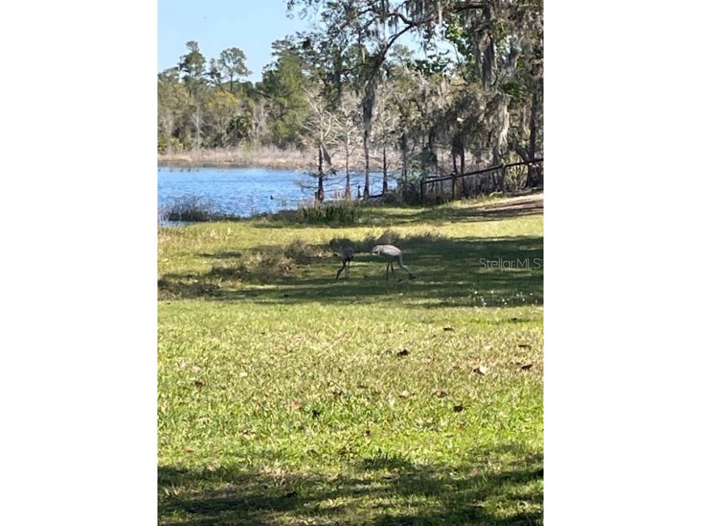 1210 Gem Lane Lake Helen FL 32744 V4945494 image73