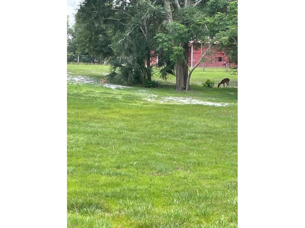 1210 Gem Lane Lake Helen FL 32744 V4945494 image75