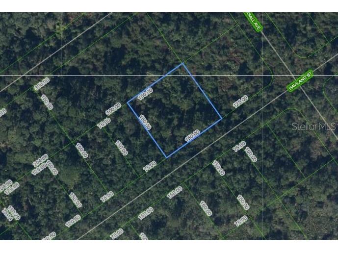 1210 Haviland Street Lake Placid FL 33852 P4932385 image1