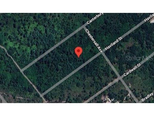 1210 Haviland Street Lake Placid FL 33852 P4932385 image6