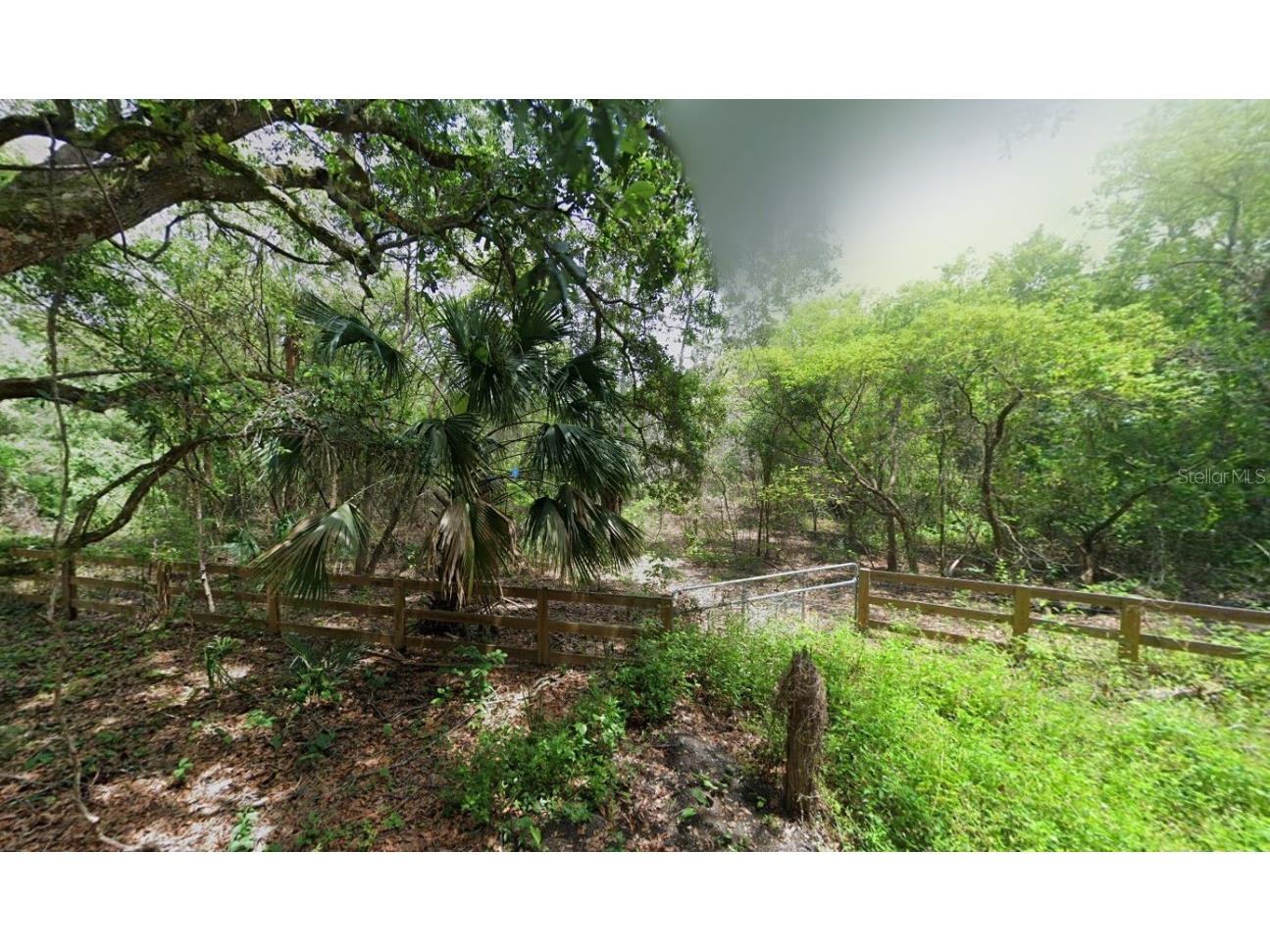 1210 Heart Pine Drive Orange City FL 32763 A4676101 image2