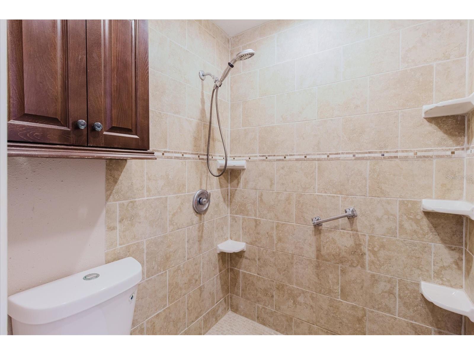 1210 Lady Elaine Drive Valrico FL 33594 TB8478008 image74