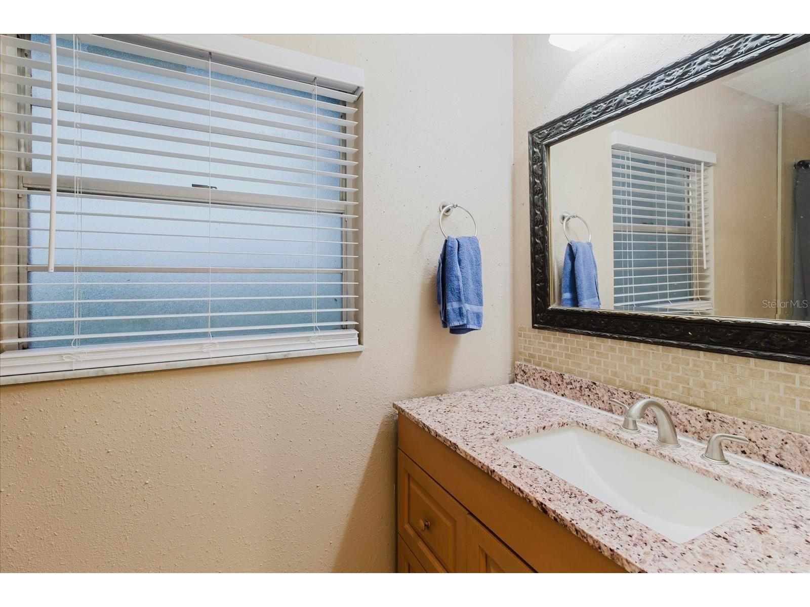 1210 Lady Elaine Drive Valrico FL 33594 TB8478008 image75