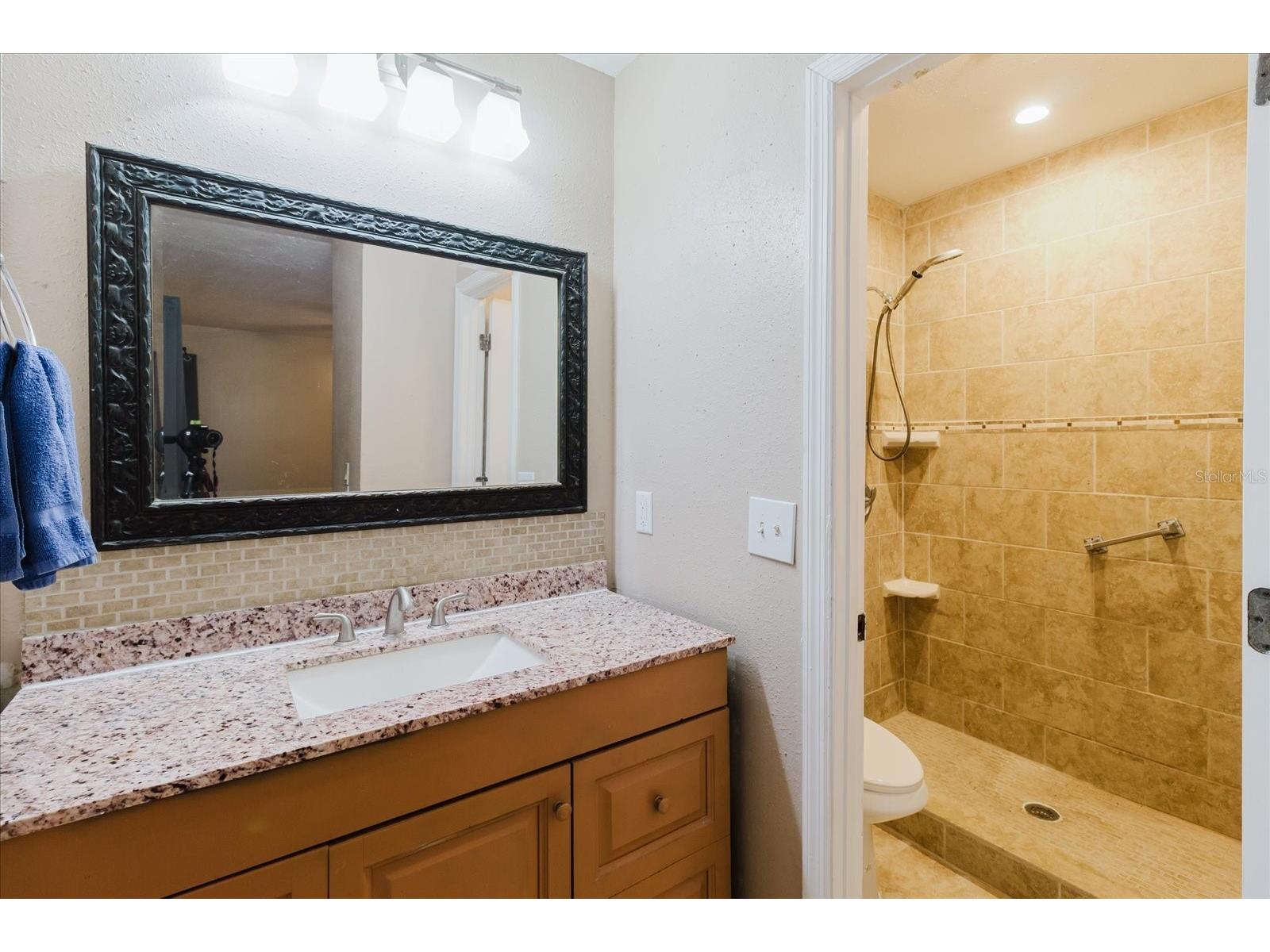 1210 Lady Elaine Drive Valrico FL 33594 TB8478008 image76