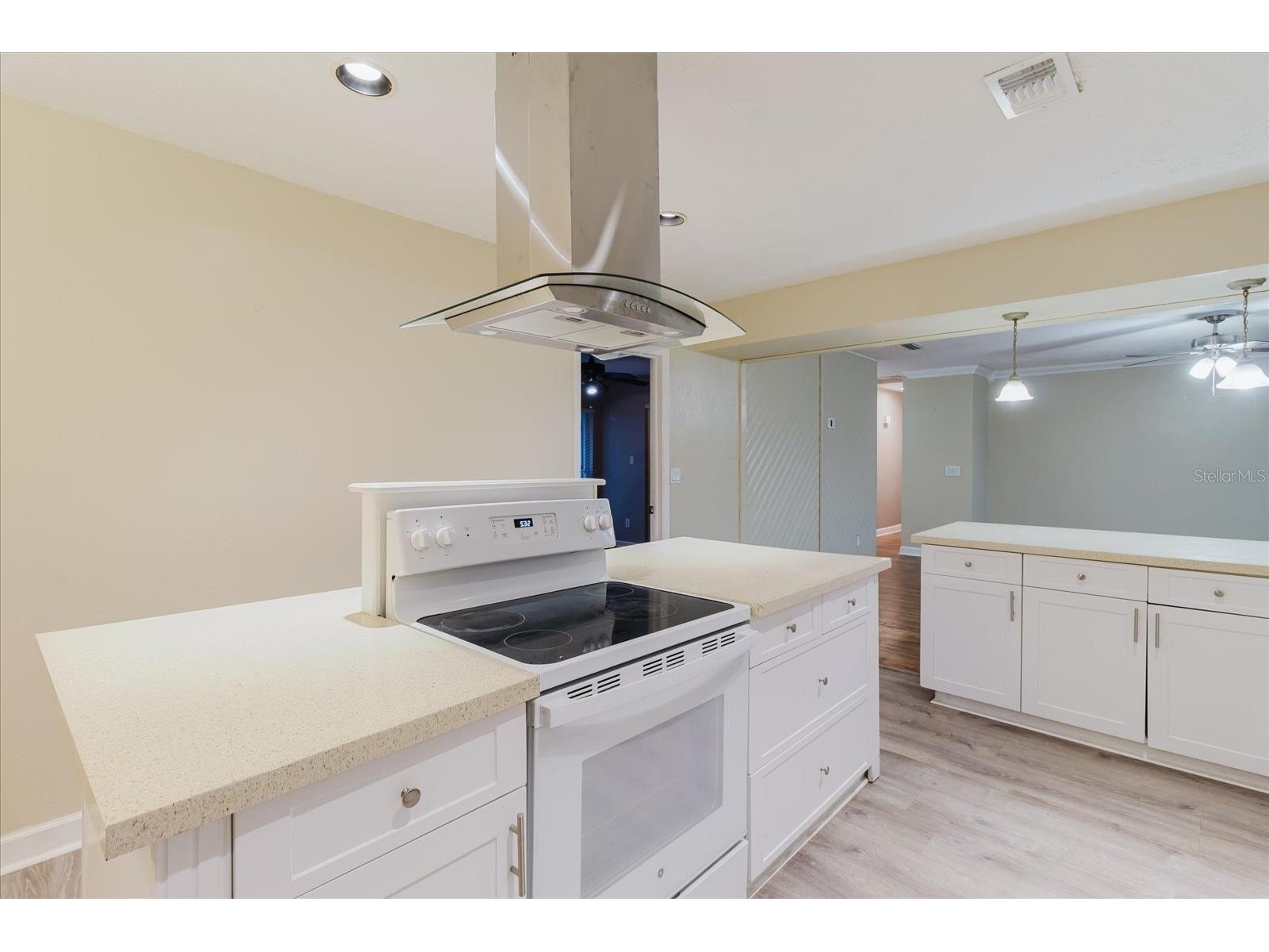 1210 Lady Elaine Drive Valrico FL 33594 TB8478008 image84