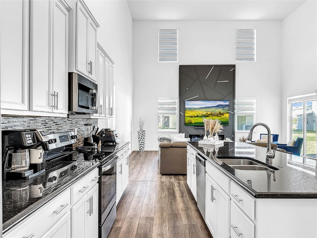 1210 Lone Palm Way Saint Cloud FL 34771 O6306624 image4