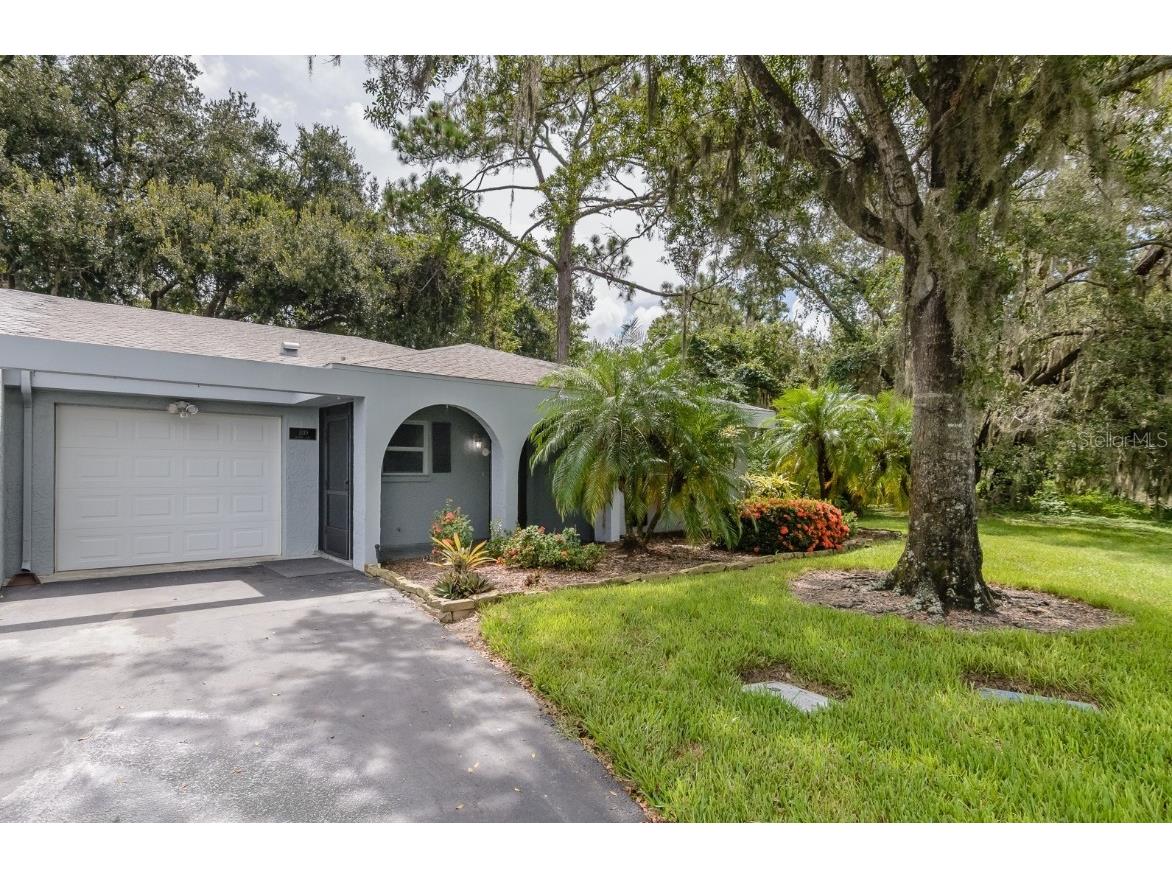 1210 Palmer Lane Palm Harbor FL 34685 TB8413609 image1