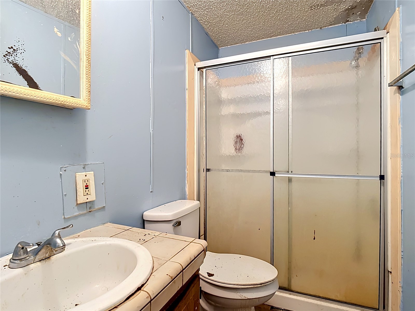 1210 Pinebend Drive Lakeland FL 33809 O6405878 image20