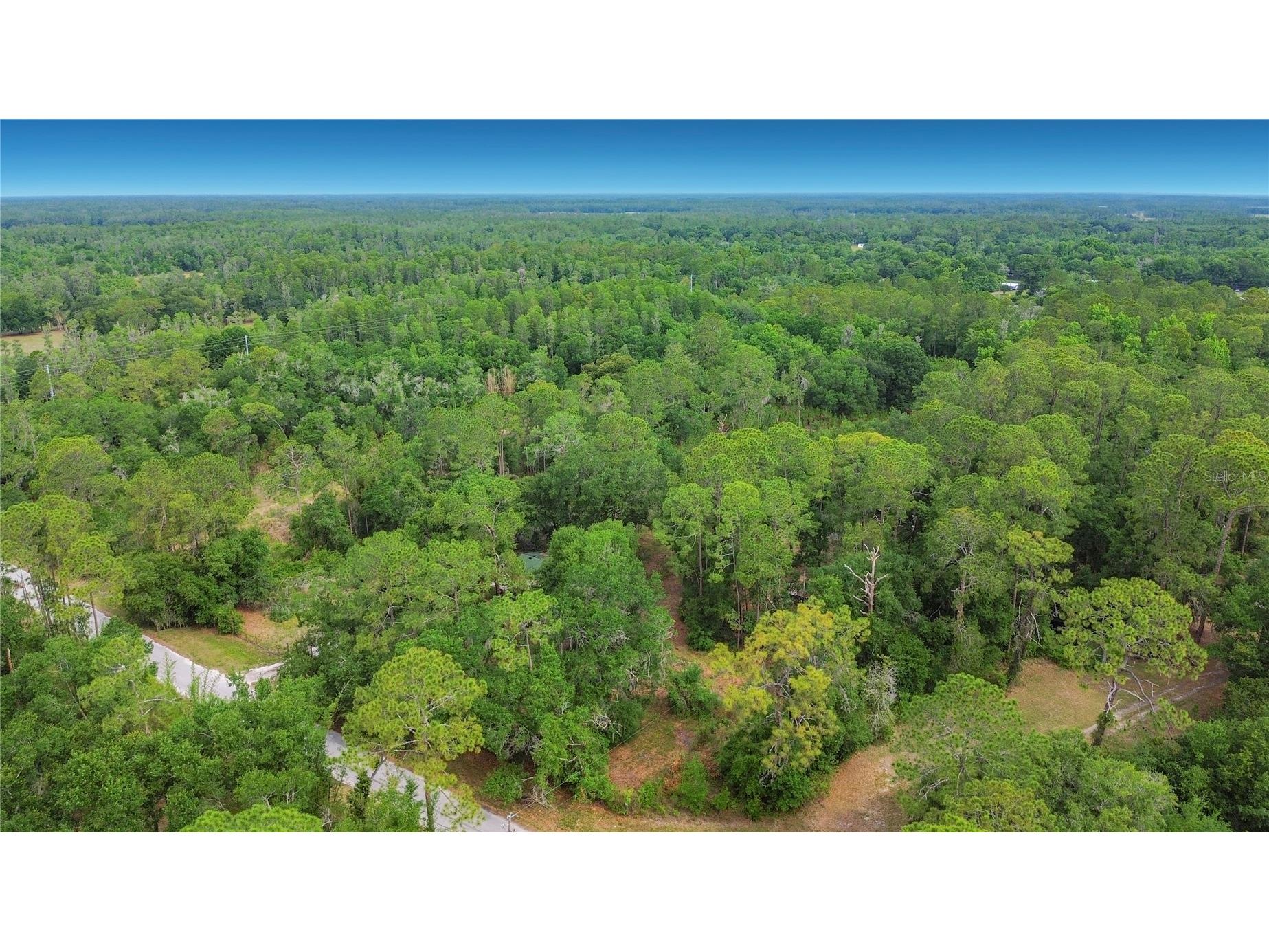 1210 Pinebend Drive Lakeland FL 33809 O6405878 image3