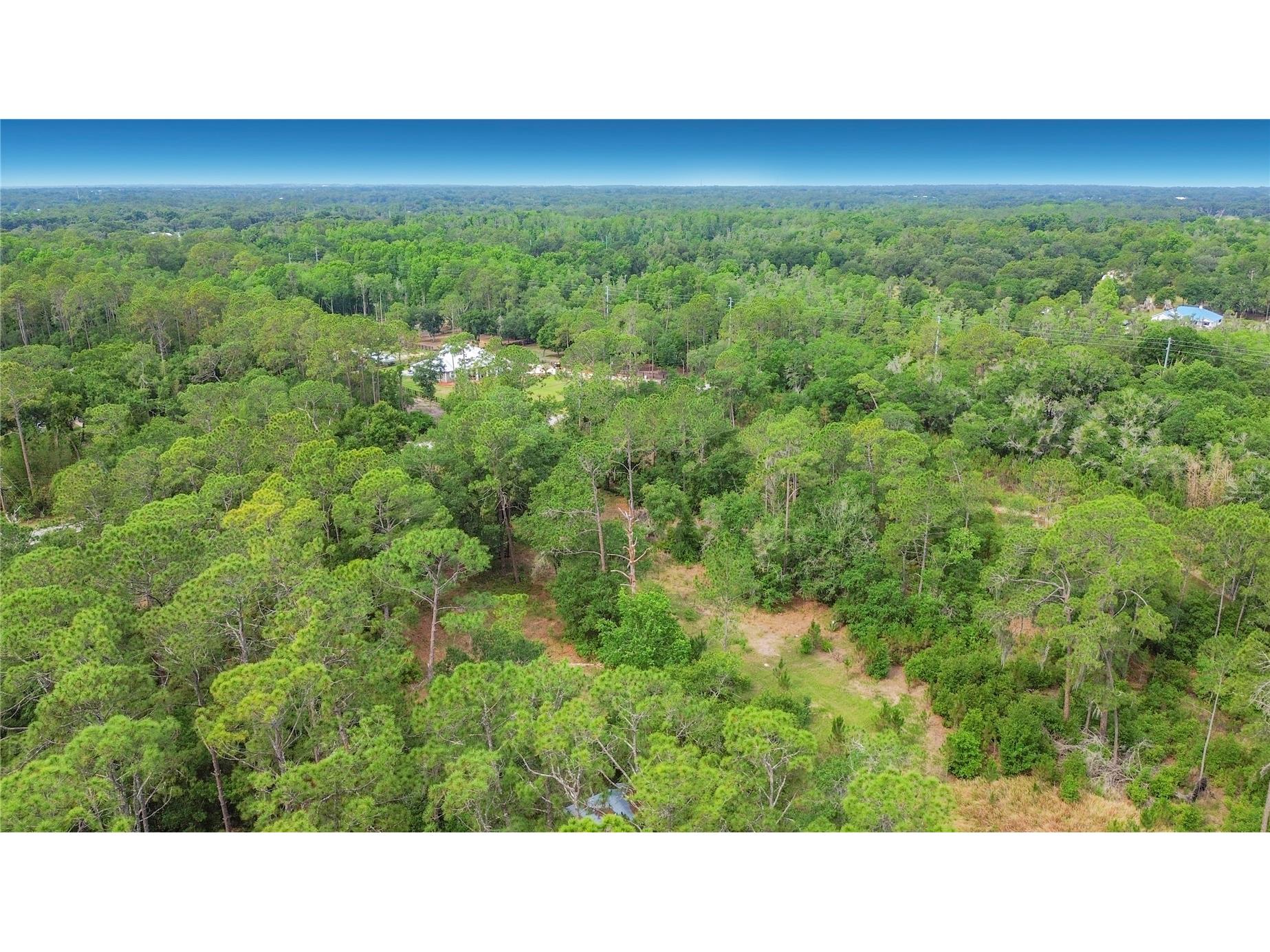 1210 Pinebend Drive Lakeland FL 33809 O6405878 image41
