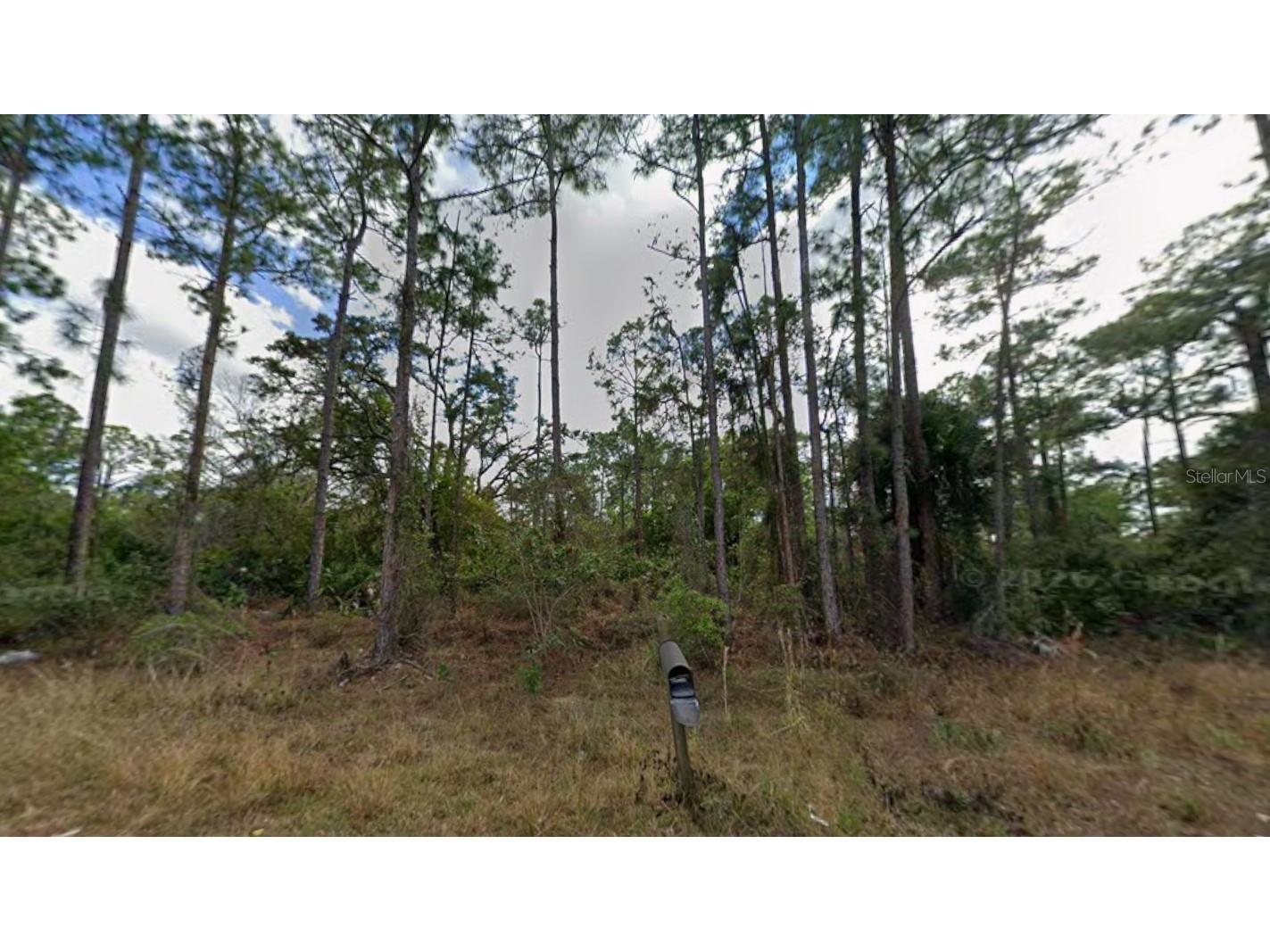 1210 Raphia Street E Lehigh Acres FL 33974 K4903396 image1