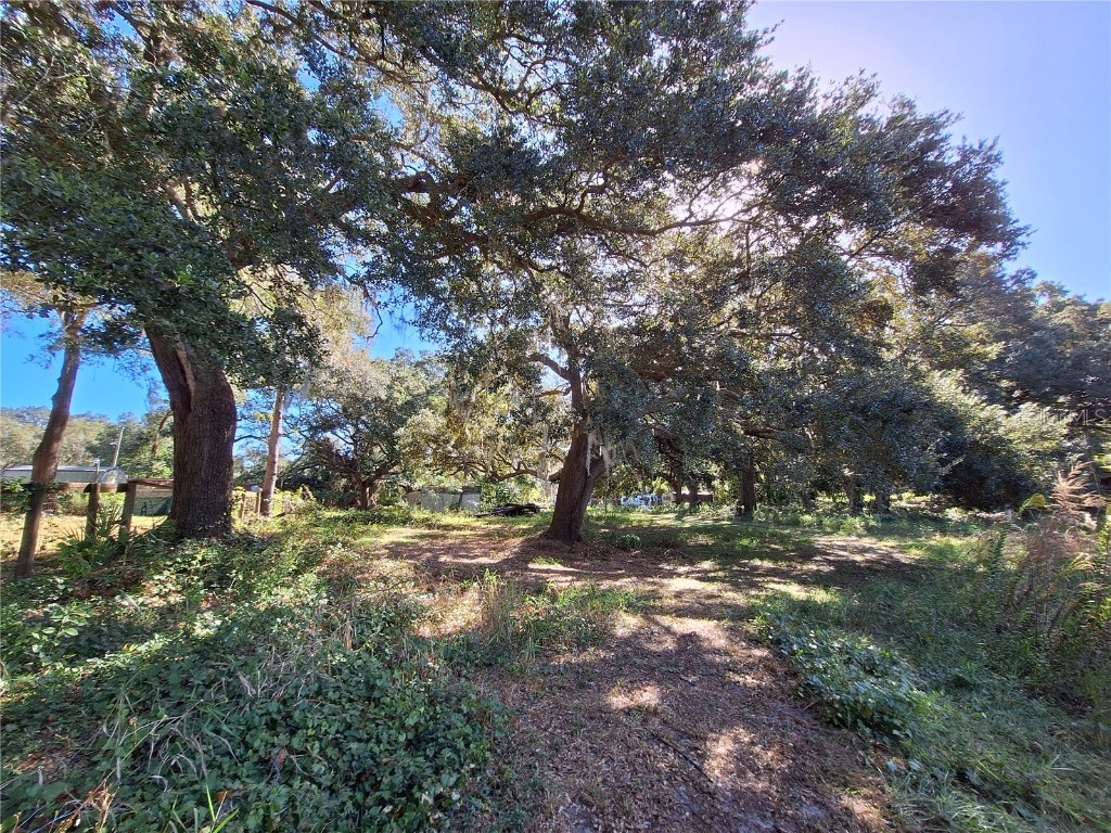 1210 SE 174th Avenue Silver Springs FL 34488 OM688891 image2