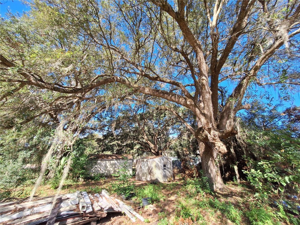 1210 SE 174th Avenue Silver Springs FL 34488 OM688891 image26