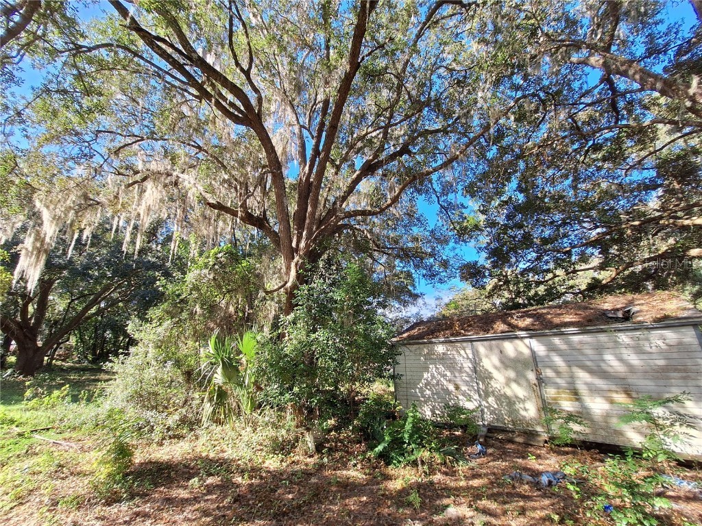 1210 SE 174th Avenue Silver Springs FL 34488 OM688891 image27