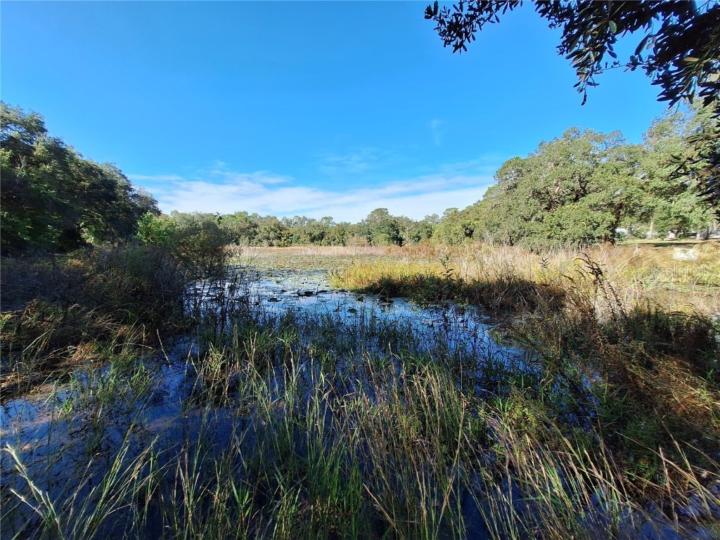 1210 SE 174th Avenue Silver Springs FL 34488 OM688891 image3