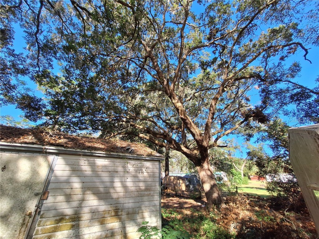 1210 SE 174th Avenue Silver Springs FL 34488 OM688891 image34