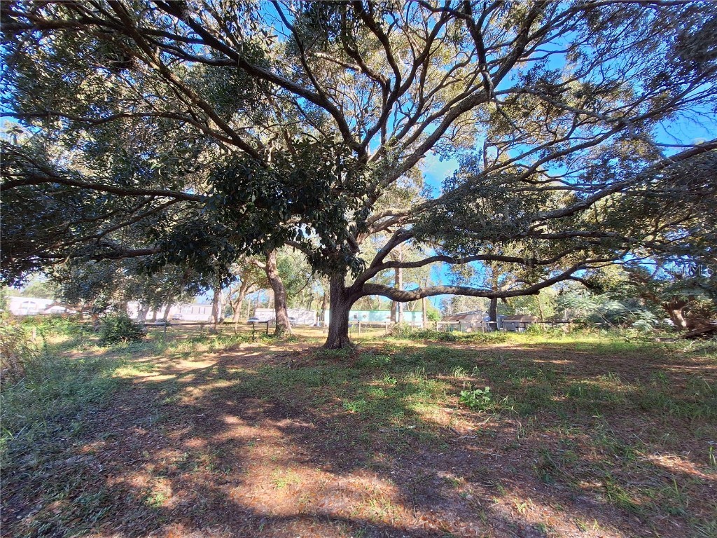 1210 SE 174th Avenue Silver Springs FL 34488 OM688891 image36