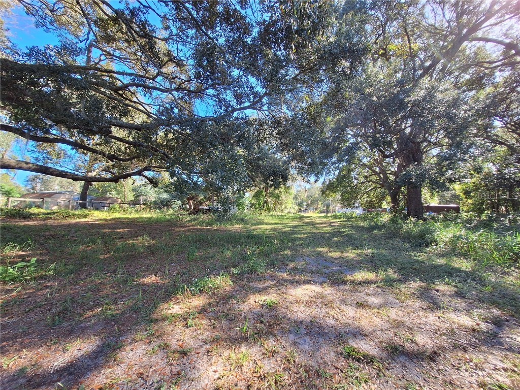 1210 SE 174th Avenue Silver Springs FL 34488 OM688891 image37