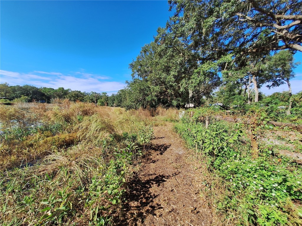 1210 SE 174th Avenue Silver Springs FL 34488 OM688891 image38