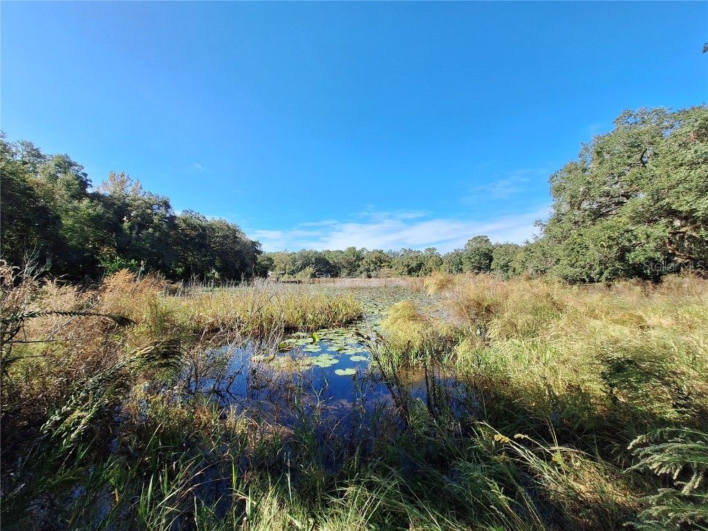 1210 SE 174th Avenue Silver Springs FL 34488 OM688891 image39