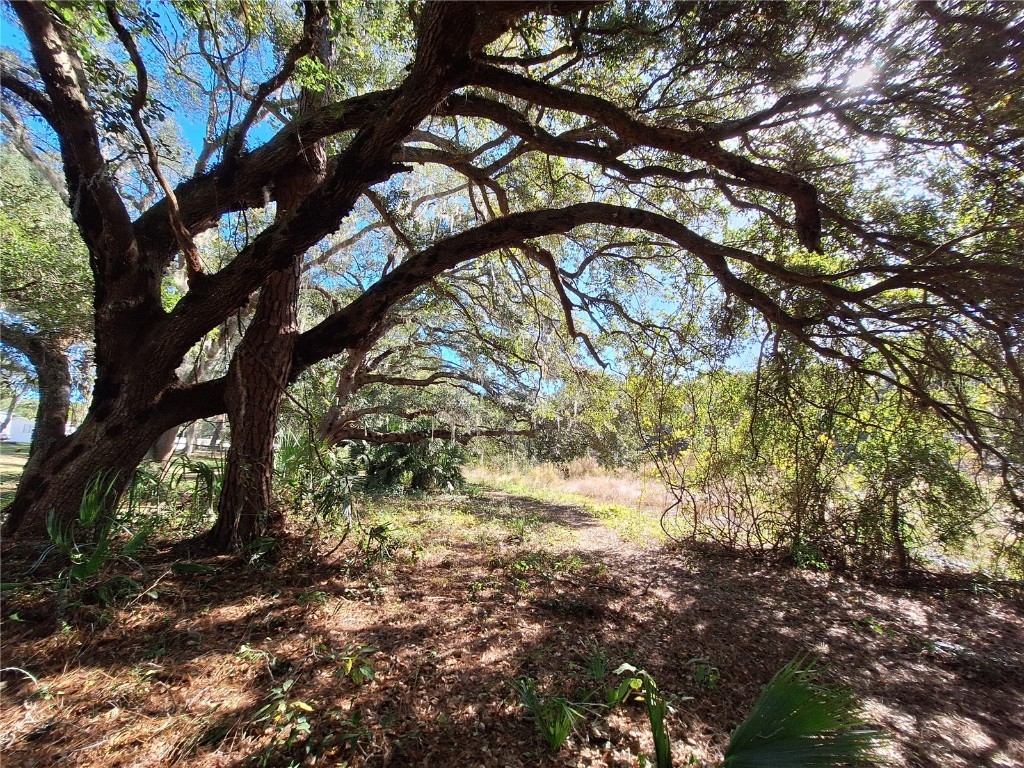 1210 SE 174th Avenue Silver Springs FL 34488 OM688891 image41