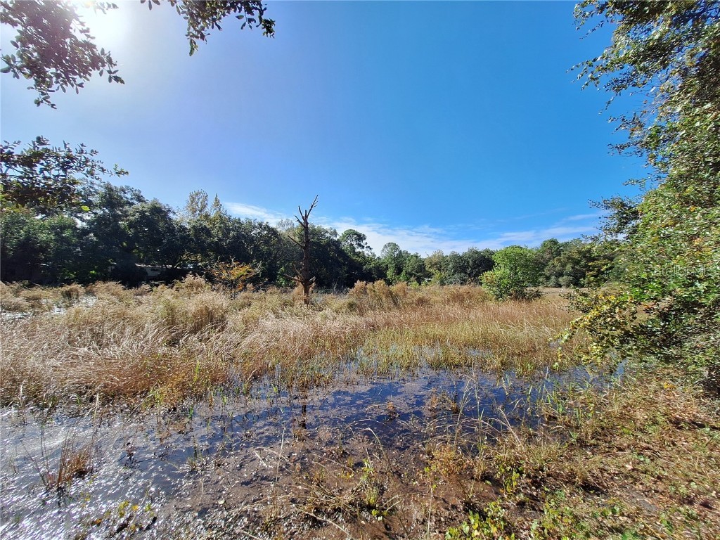 1210 SE 174th Avenue Silver Springs FL 34488 OM688891 image42