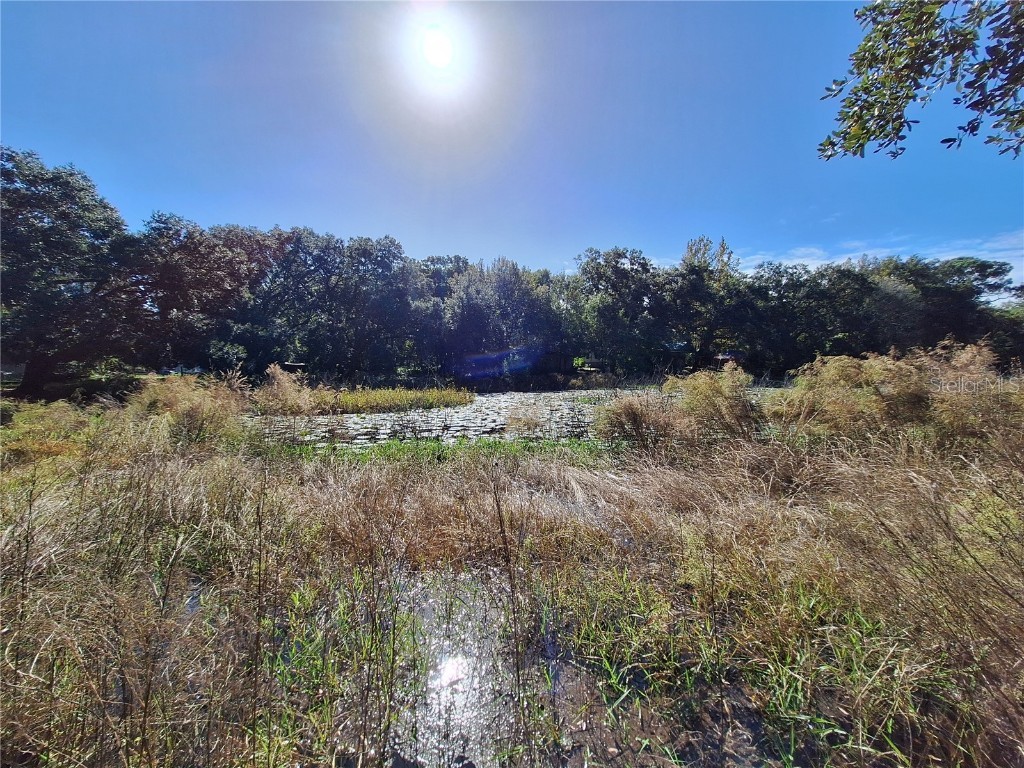 1210 SE 174th Avenue Silver Springs FL 34488 OM688891 image43