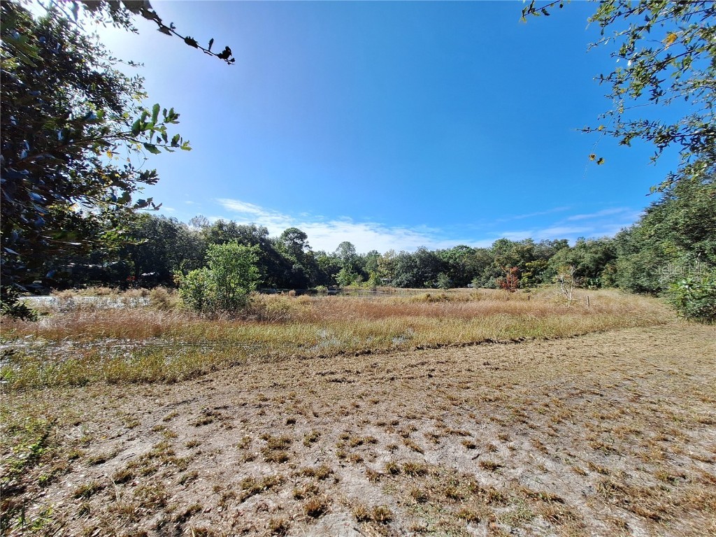 1210 SE 174th Avenue Silver Springs FL 34488 OM688891 image44