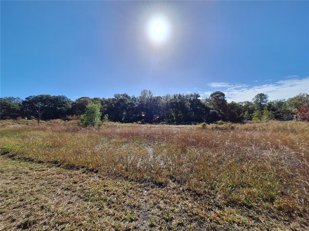 1210 SE 174th Avenue Silver Springs FL 34488 OM688891 image46