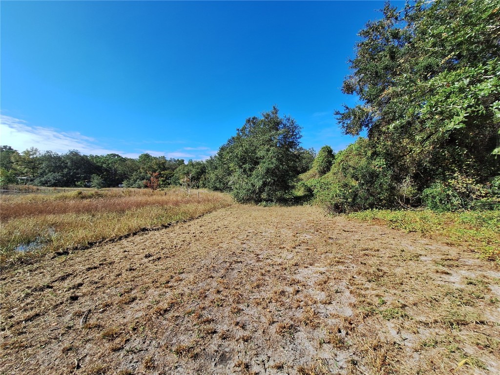 1210 SE 174th Avenue Silver Springs FL 34488 OM688891 image47