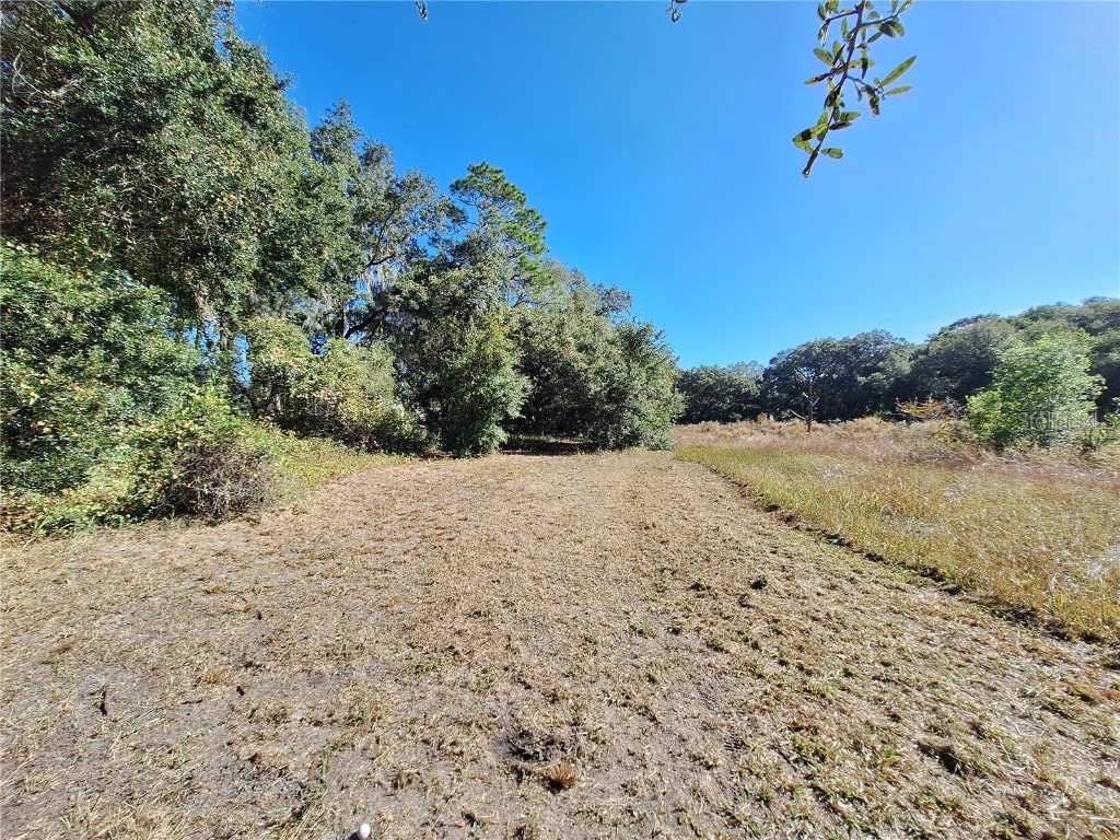 1210 SE 174th Avenue Silver Springs FL 34488 OM688891 image48