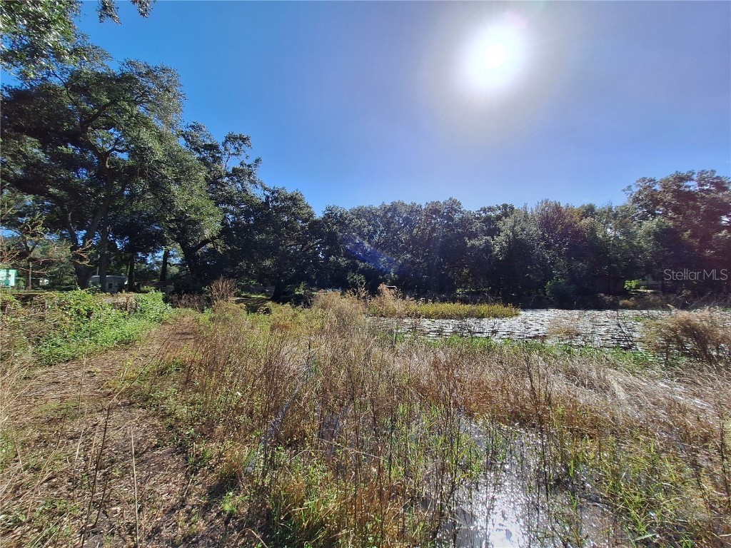 1210 SE 174th Avenue Silver Springs FL 34488 OM688891 image50