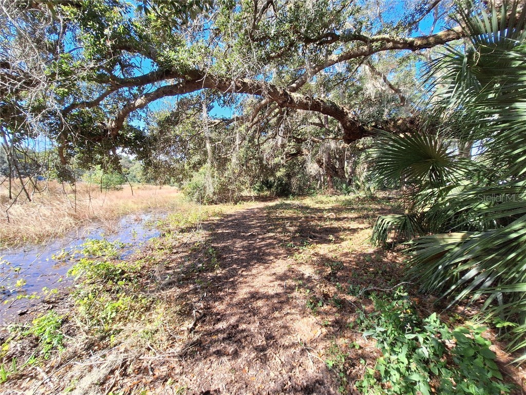 1210 SE 174th Avenue Silver Springs FL 34488 OM688891 image7